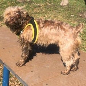 Meet your Posher, Mike